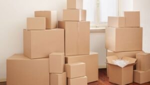 Right Packers and Movers Agapura