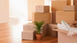 Right Packers and Movers Ameerpet