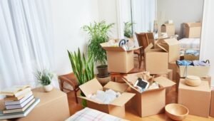 Right Packers and Movers ECIL