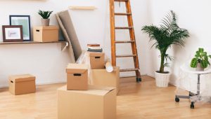Right Packers and Movers Hyderabad